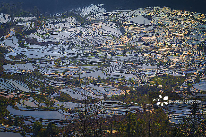 元阳梯田图片素材