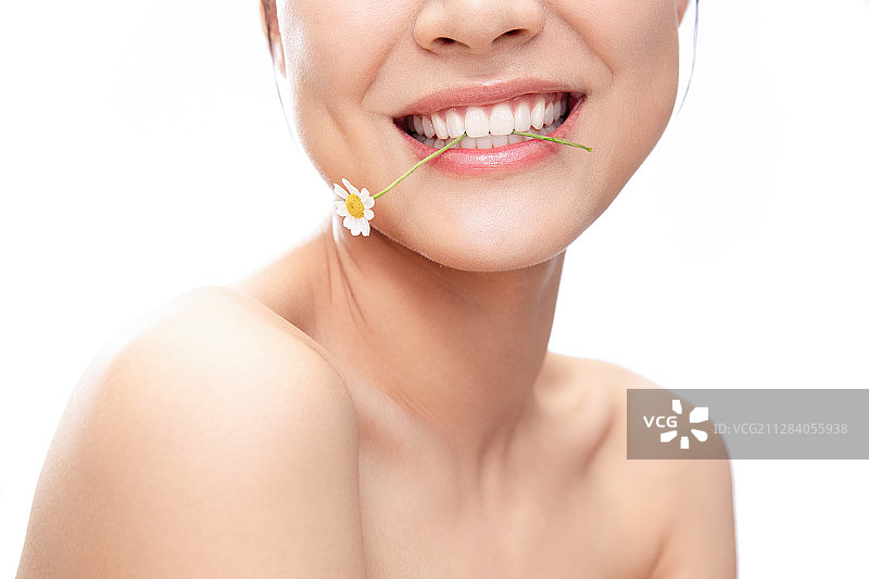 青年女人牙齿咬着洋甘菊的特写图片素材