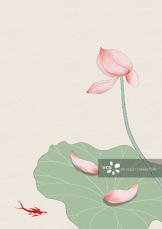 禅.莲—此花此叶常相映，翠减红衰愁煞人图片素材