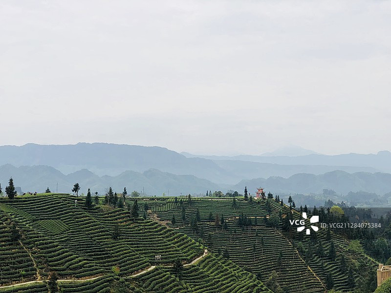 2018_03_27_10_48_153458AA-1DC9-4468-B91E-3A3FC9BC4602图片素材