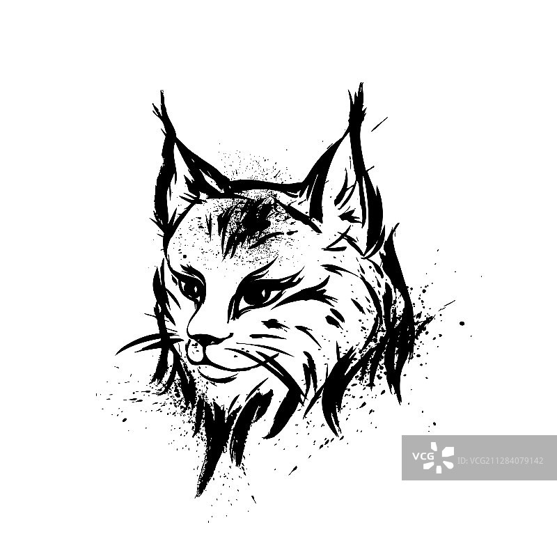 手绘的野生猞猁捕食者图片素材