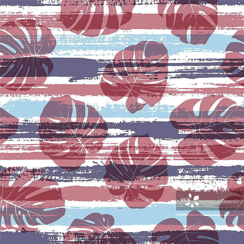 现代龟背竹图片素材