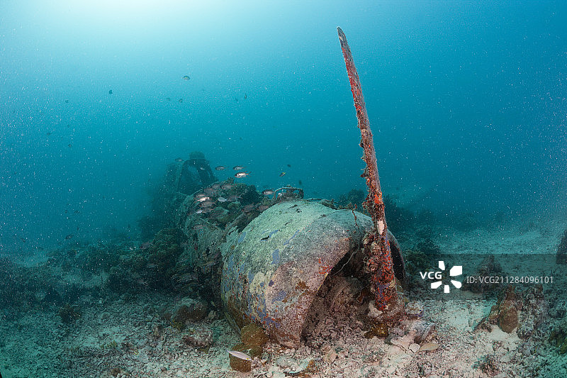二战期间中岛B5N轰炸机残骸，新爱尔兰，巴布亚新几内亚图片素材