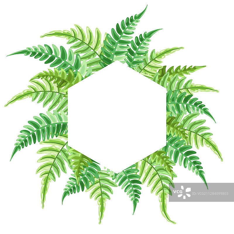 蕨类叶子背景图片素材