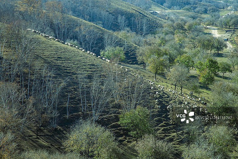 中国内蒙古坝上草原图片素材