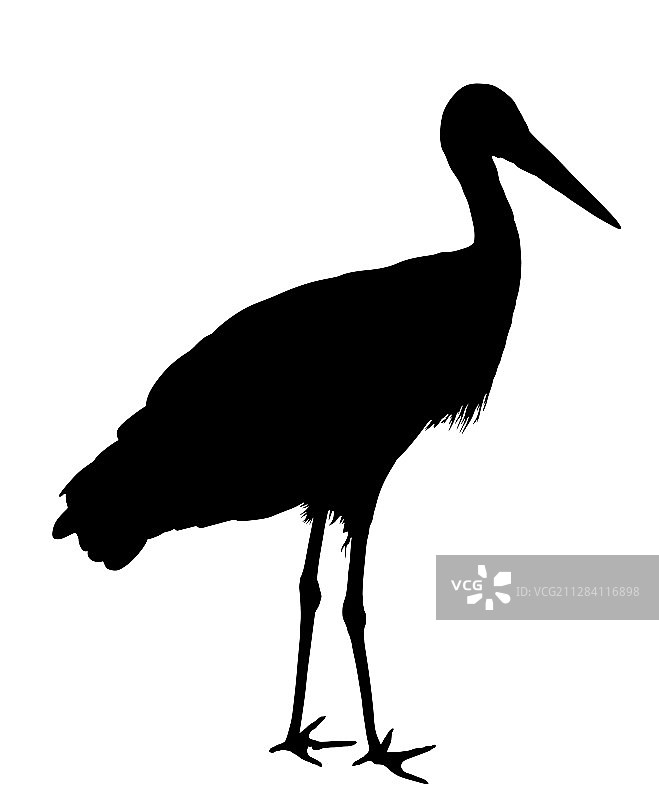 鹳的轮廓：迁徙鸟类的象征图片素材