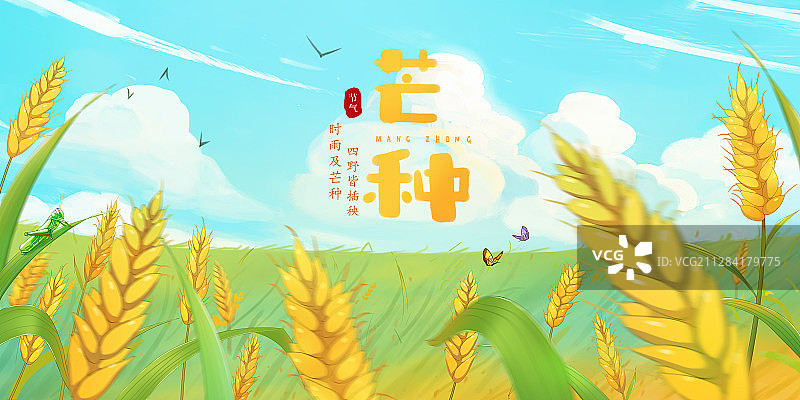 芒种横版海报图片素材