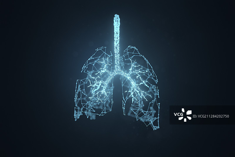 肺部神经丛图片素材