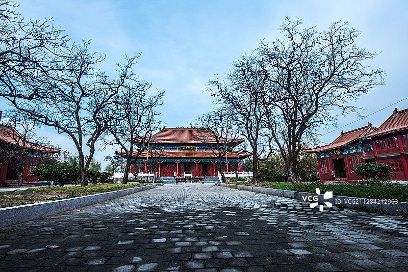 郯城银杏古梅园图片素材