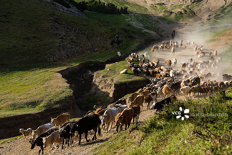 新疆，萨尔布拉克大转场图片素材