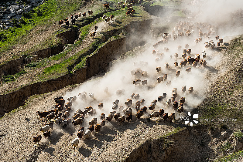新疆，萨尔布拉克大转场图片素材