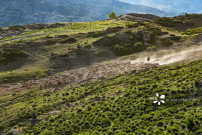 新疆，萨尔布拉克大转场图片素材