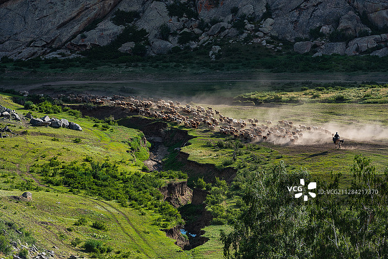 新疆，萨尔布拉克大转场图片素材