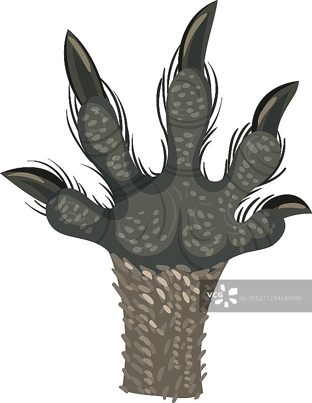 白色背景上的动物爪子图片素材