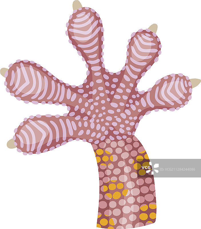 白色背景上的动物爪子图片素材