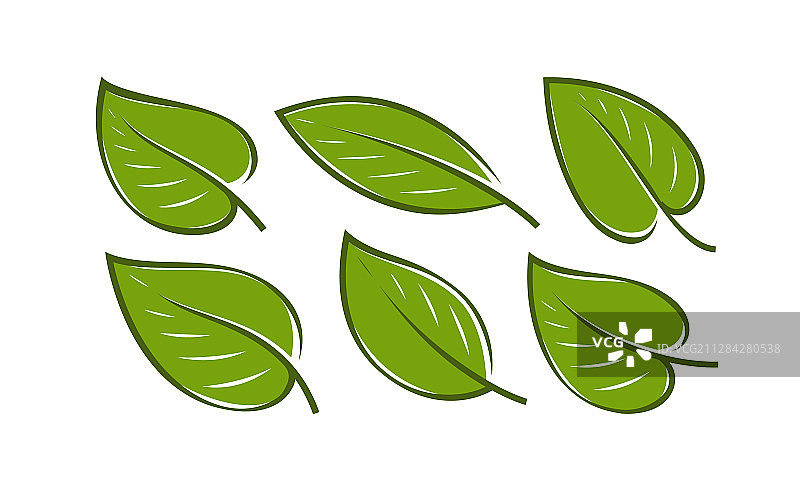绿色叶子自然标志或图标图片素材