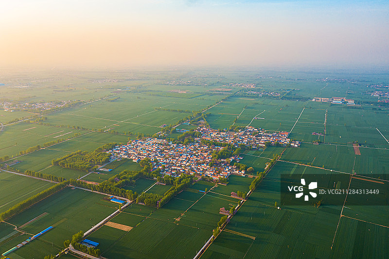 航拍河南农村麦田风光图片素材