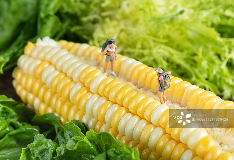 绿叶玉米道路上的青年男女徒步旅行者图片素材