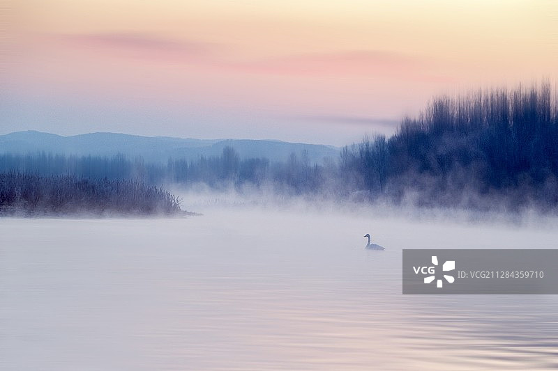 辽宁朝阳北票红村天鹅湖之晨图片素材