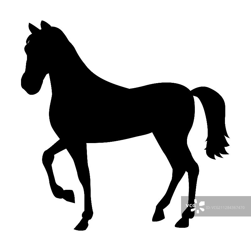 白色背景上的骏马黑色剪影图片素材