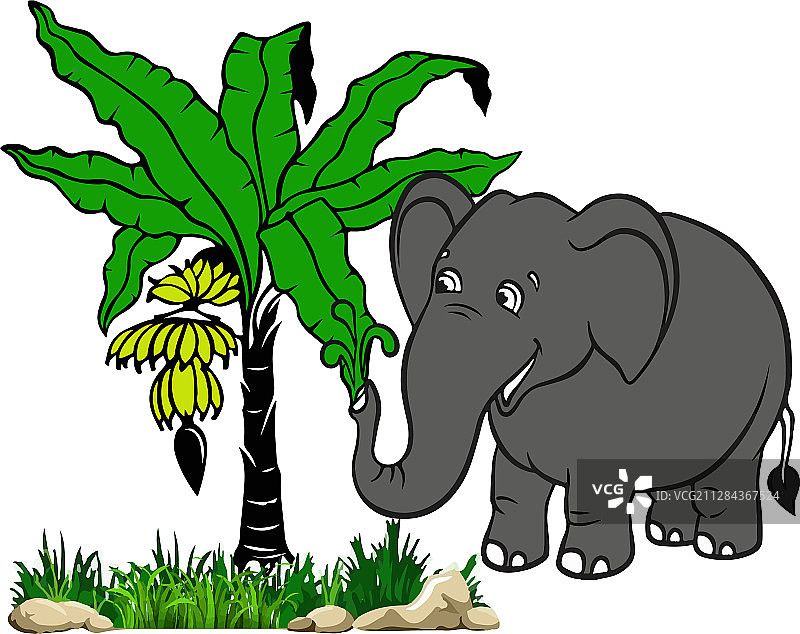 绘制带有大象艺术品的香蕉树图片素材