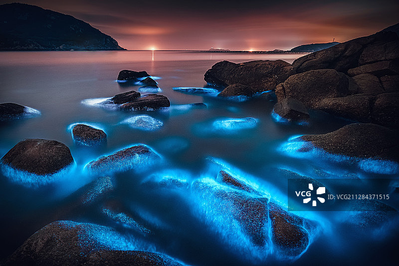 蓝眼泪图片素材