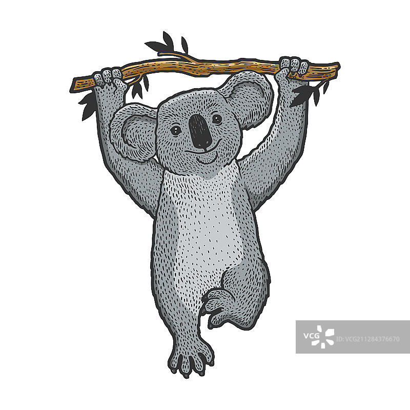 树上的考拉素描雕刻图片素材
