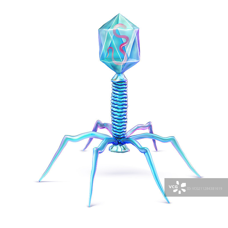 噬菌体模型有益病毒图片素材