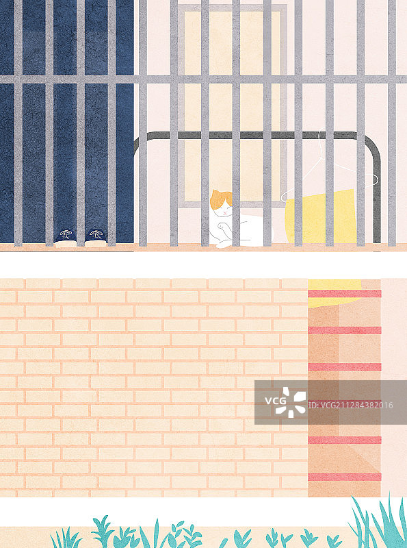 宿舍里的猫咪图片素材