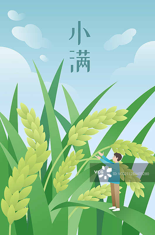 一个男生站在稻谷上伸出双手迎接小满图片素材
