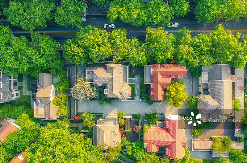 初夏颐和路图片素材