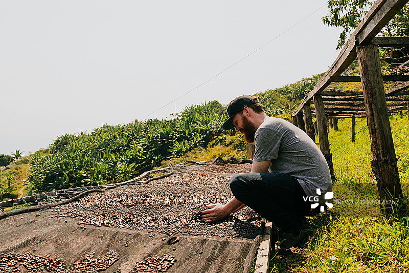 在卢旺达吉塔拉马分拣咖啡豆的络腮胡男子图片素材