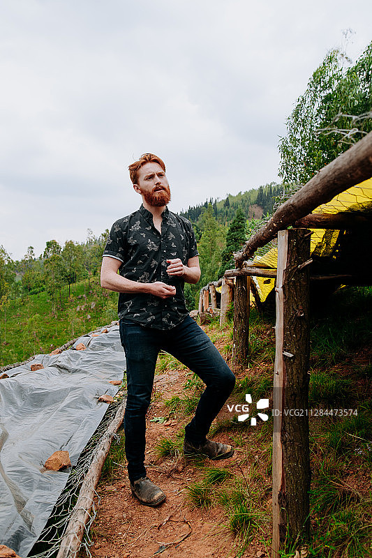 在卢旺达吉塔拉马的干燥台上检查咖啡豆的胡须男图片素材