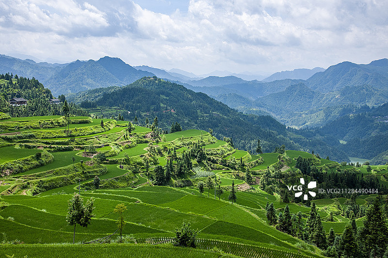 贵州丹寨县排莫村山间稻田图片素材
