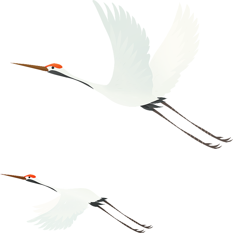 白鹤元素插画图片素材