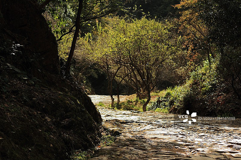 梅关古道的下午图片素材