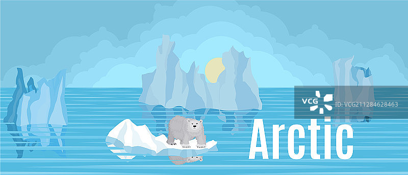北方冰原上的北极熊图片素材