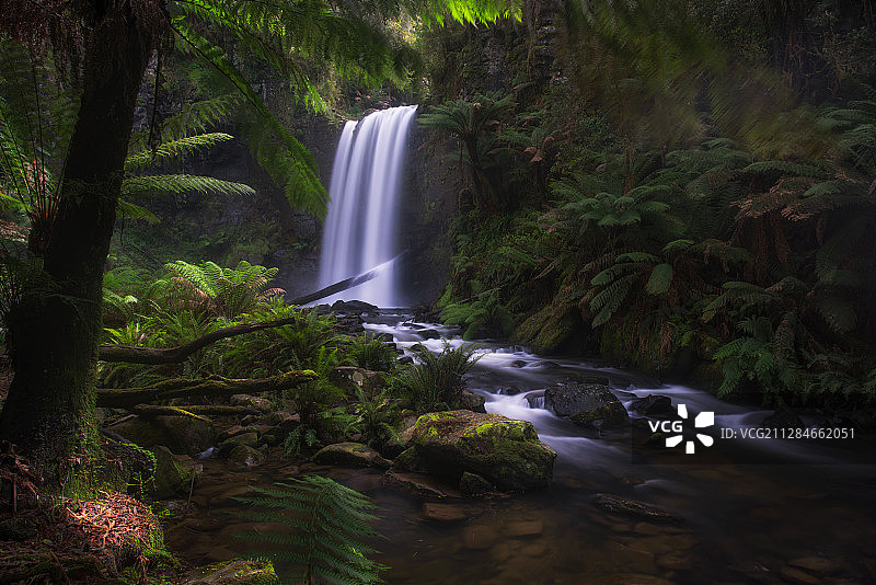 侏罗纪世界图片素材