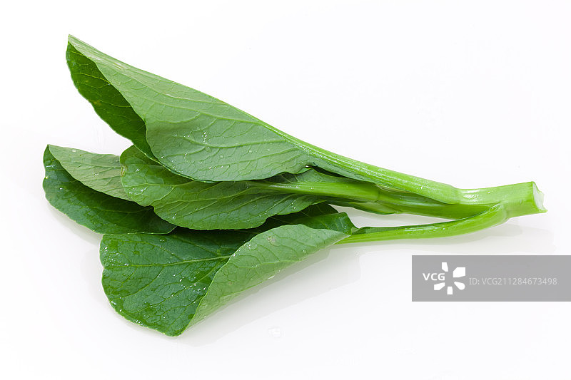 一颗青菜在白色的背景上图片素材