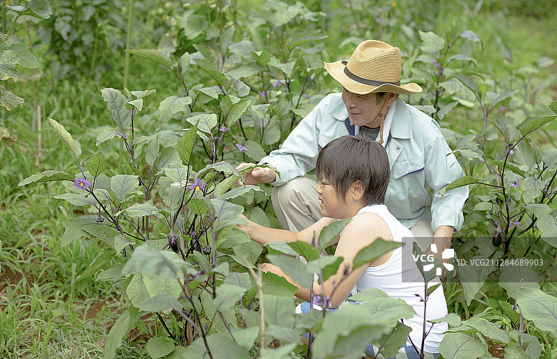 爷爷和孙子图片素材