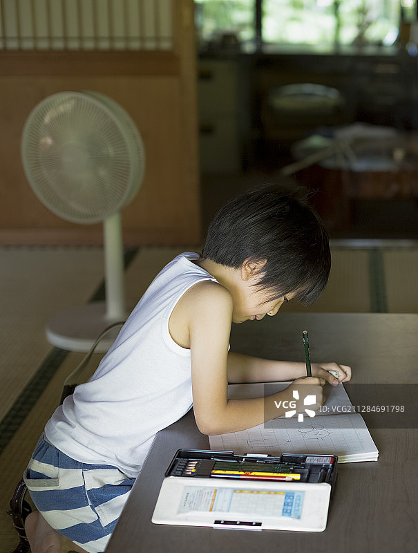 男孩在暑假做作业图片素材