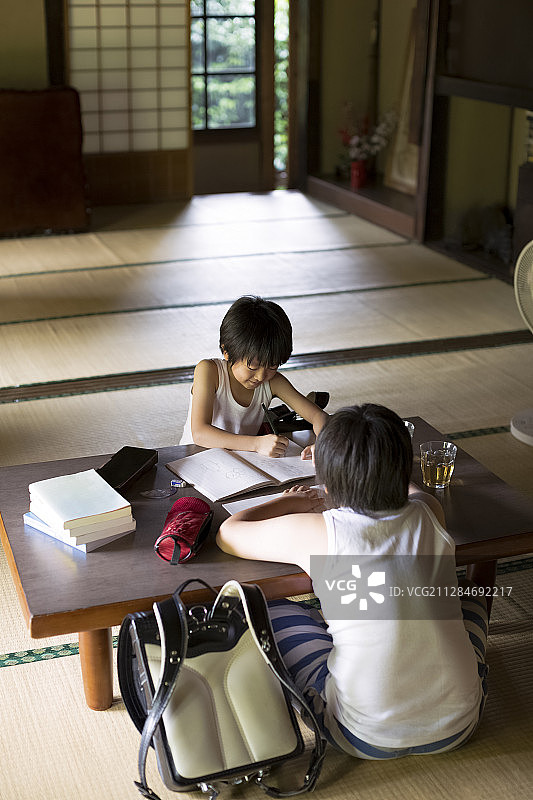 男孩在暑假做作业图片素材