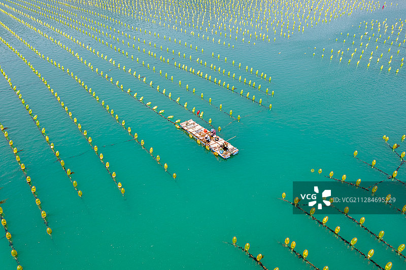 汕头南澳岛海产养殖场图片素材