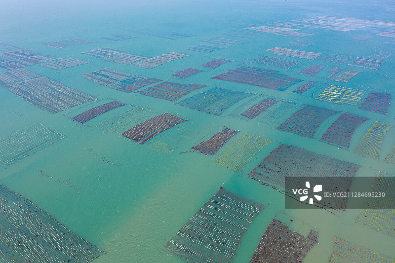 汕头南澳岛海产养殖场图片素材