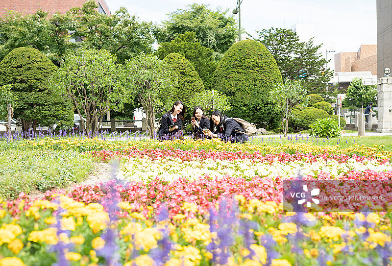 女学生札幌学校旅行札幌市博物馆图片素材