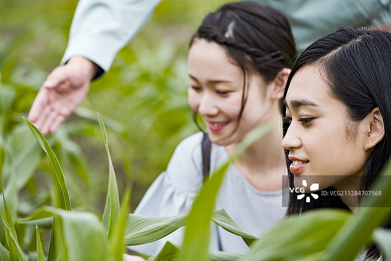 上学的高中生图片素材