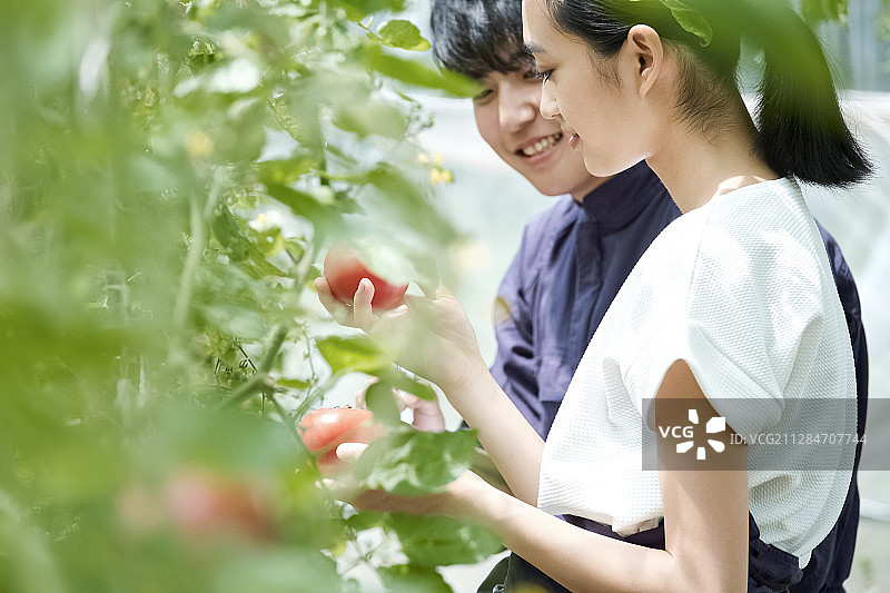 情侣在农舍耕作图片素材