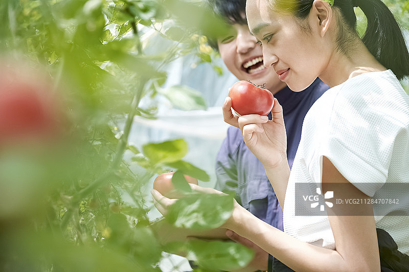 情侣在农舍耕作图片素材