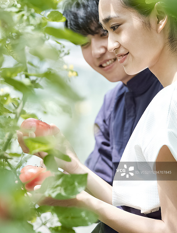 情侣在农舍耕作图片素材