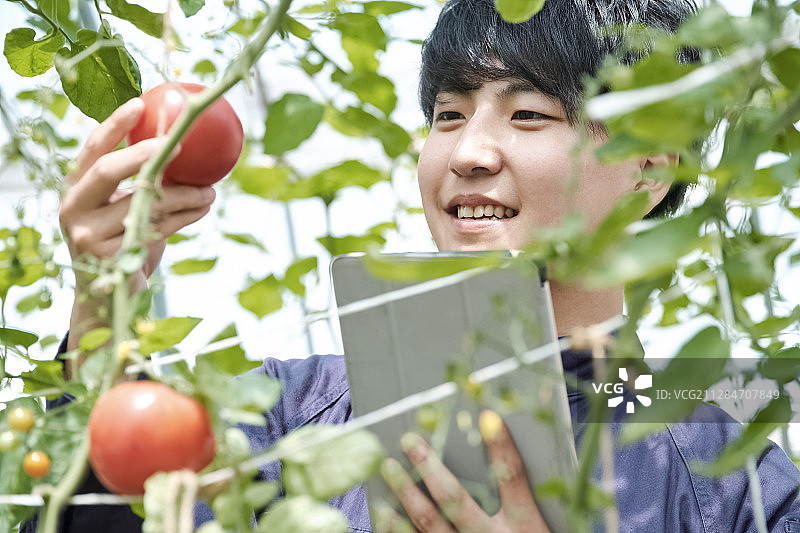 男性智能农业房屋栽培图片素材